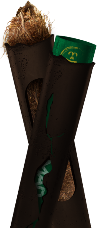 Blocked drains Sydney